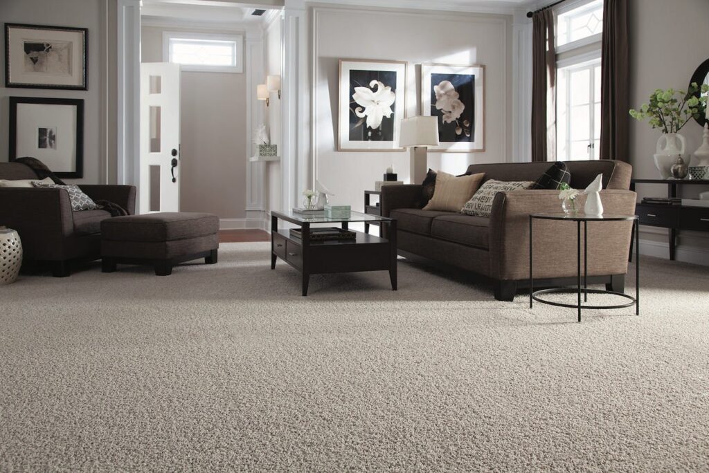 carpet flooring reviews pros cons