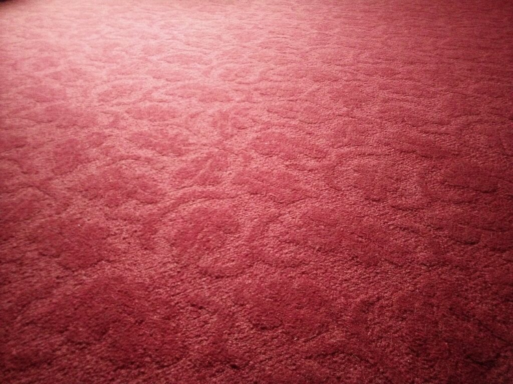 Best Ways To Prevent Carpet Mold