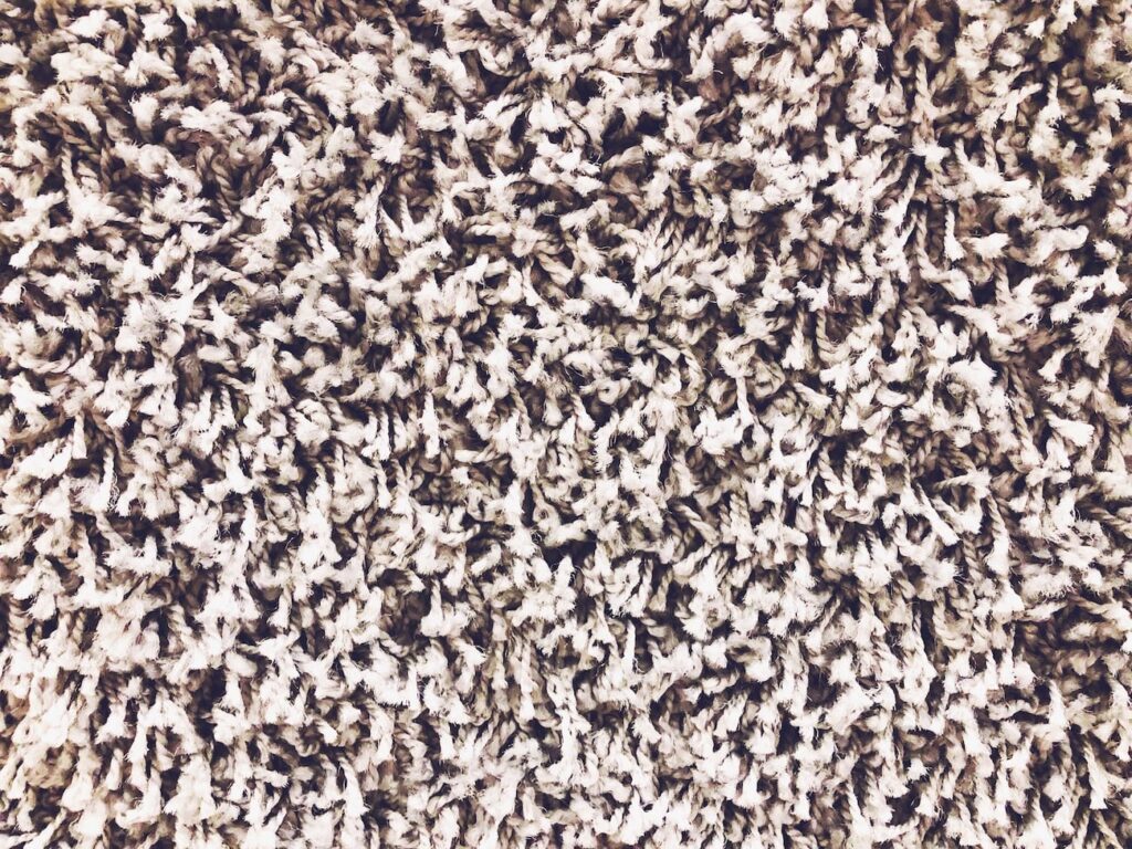 Frieze Carpet Review