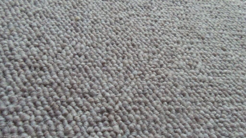 Berber Carpet Reviews