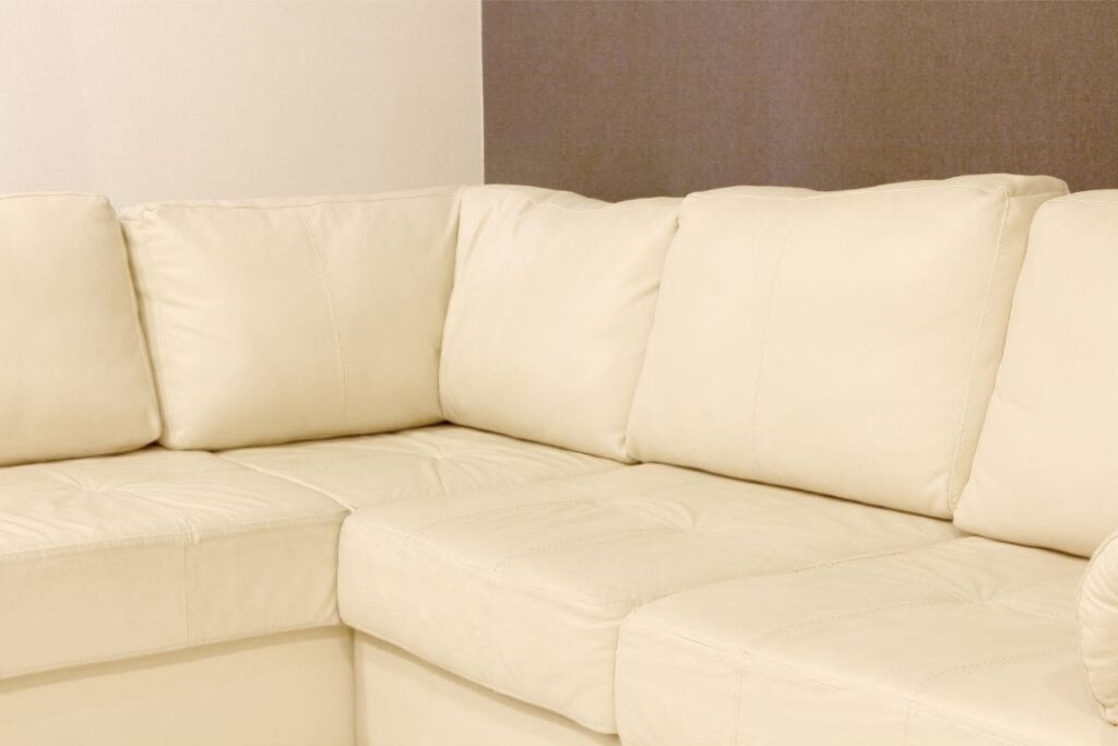Simplicity Sofa Reviews - Absolutely the Best Choice