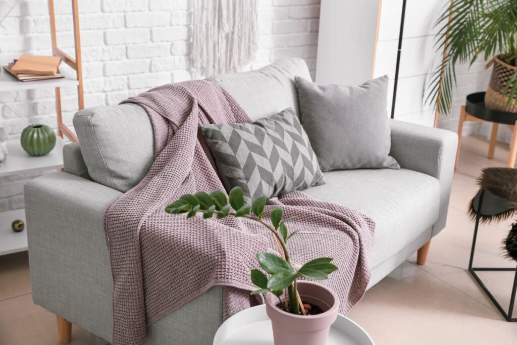 Why Cozey Sofas Should Be Your First Choice - A Solid Reviews